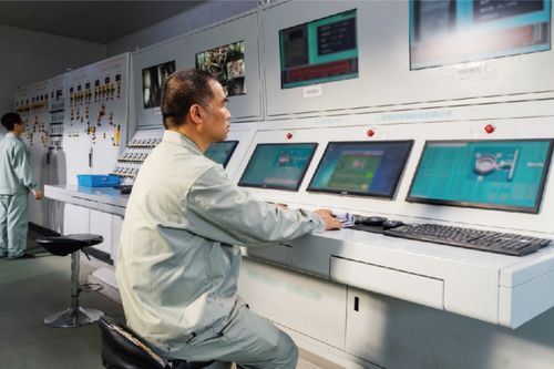 綠色技改賦能制造業(yè)轉(zhuǎn)型 書寫“雙碳”戰(zhàn)略重慶答卷的信息技術(shù)咨詢服務(wù)